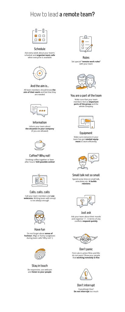 What is the role of a team leader in software development? working remotely v2